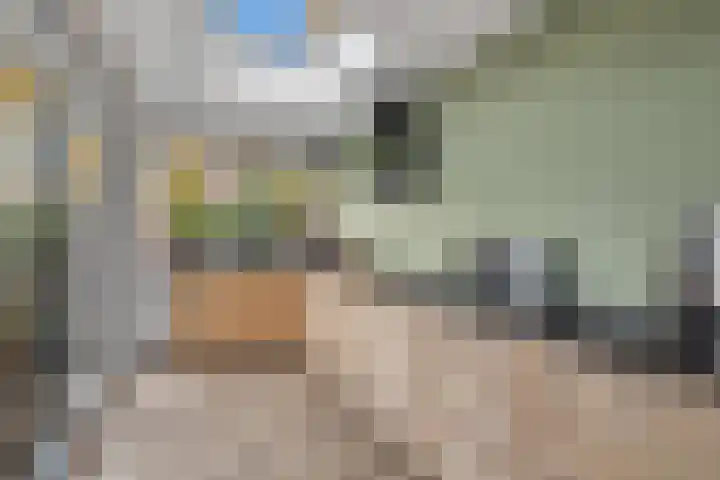 Berkenlaan 34 Hardenberg thumbnail 18