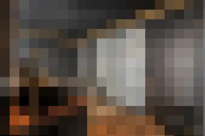 Berkenlaan 34 Hardenberg thumbnail 27
