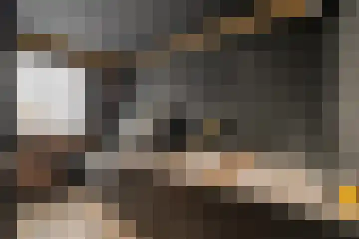 Berkenlaan 34 Hardenberg thumbnail 28