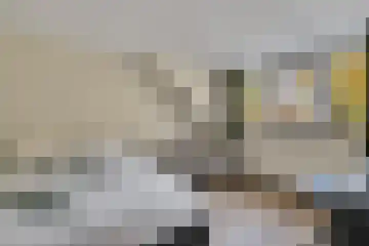Berkenlaan 34 Hardenberg thumbnail 30