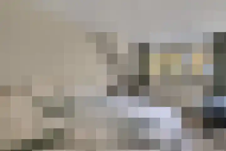 Berkenlaan 34 Hardenberg thumbnail 31