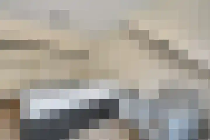 Berkenlaan 34 Hardenberg thumbnail 32