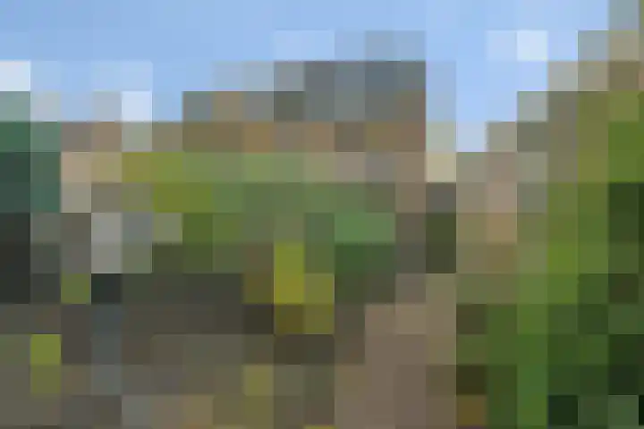 Berkenlaan 34 Hardenberg thumbnail 34