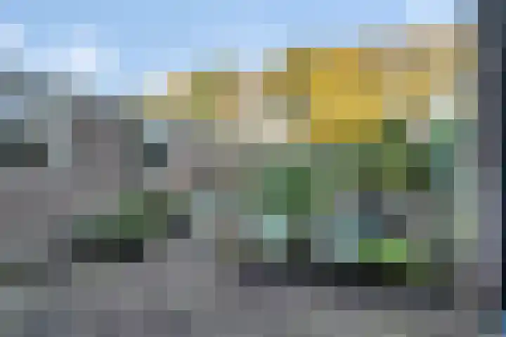 Berkenlaan 34 Hardenberg thumbnail 35