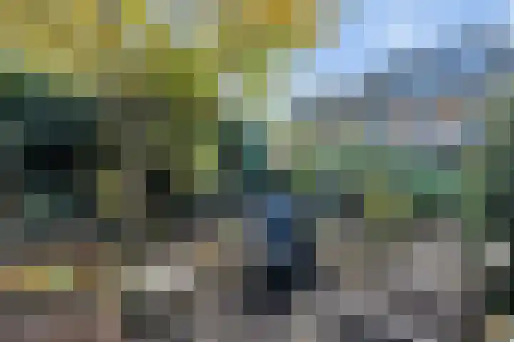 Berkenlaan 34 Hardenberg thumbnail 36
