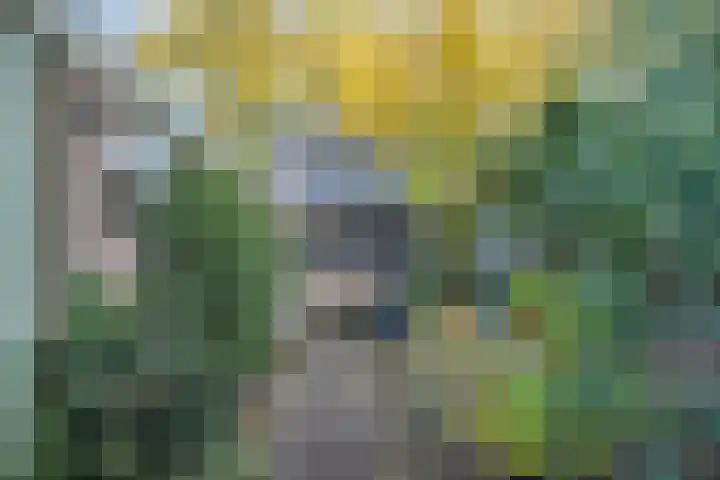 Berkenlaan 34 Hardenberg thumbnail 37
