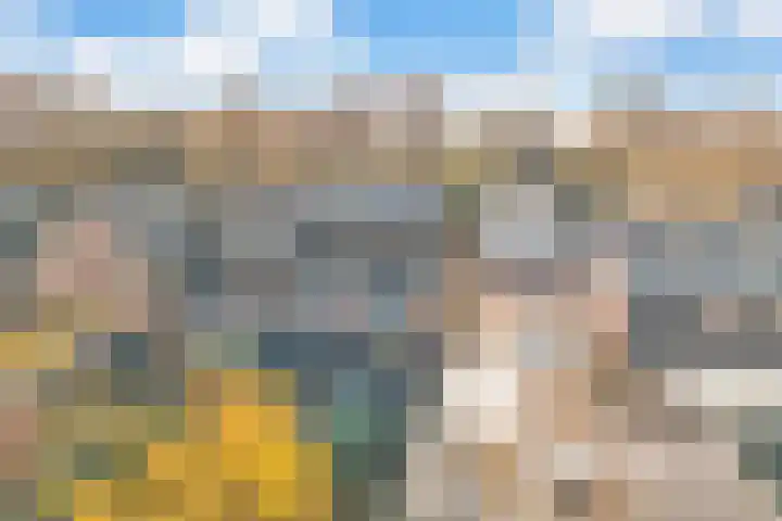 Berkenlaan 34 Hardenberg thumbnail 39