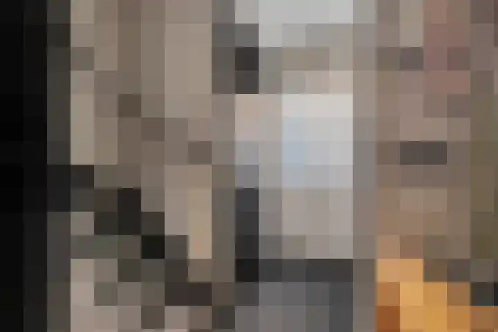 Berkenlaan 34 Hardenberg thumbnail 8