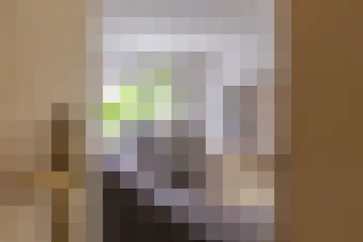 Berkenlaan 34 Zundert thumbnail 10