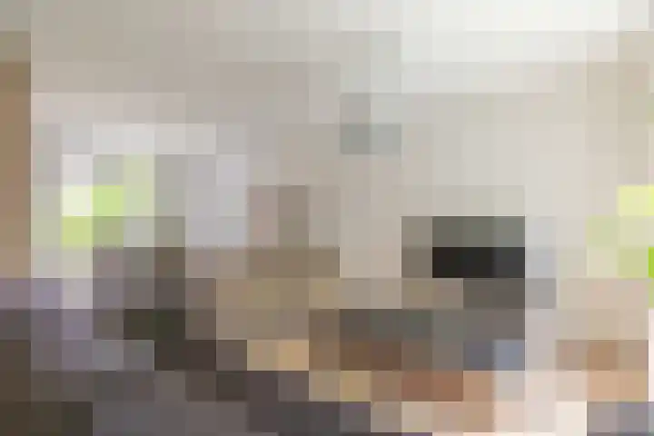 Berkenlaan 34 Zundert thumbnail 11
