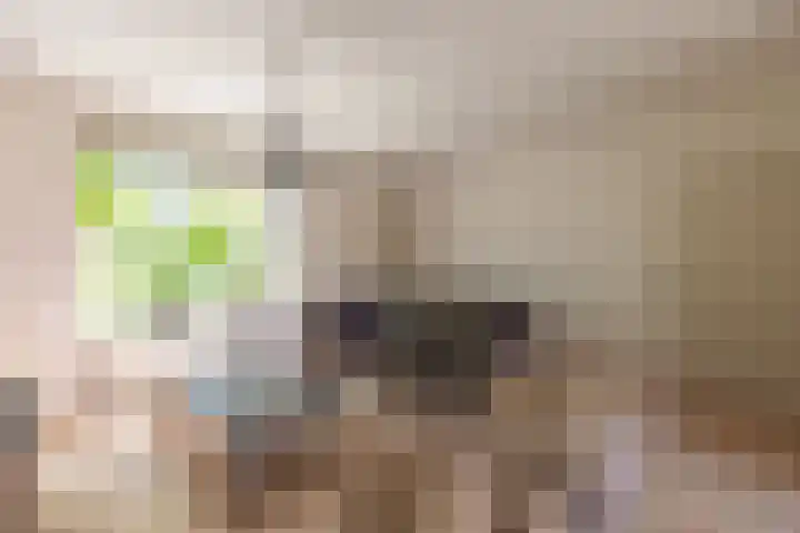 Berkenlaan 34 Zundert thumbnail 12