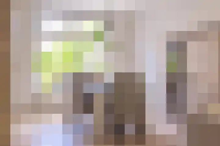 Berkenlaan 34 Zundert thumbnail 14