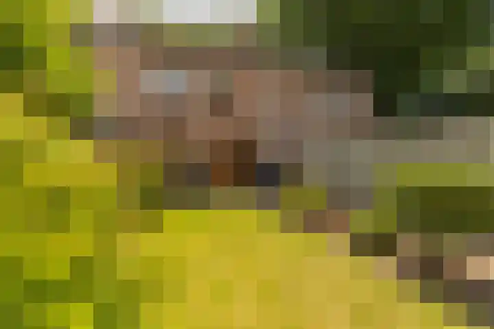Berkenlaan 34 Zundert thumbnail 33