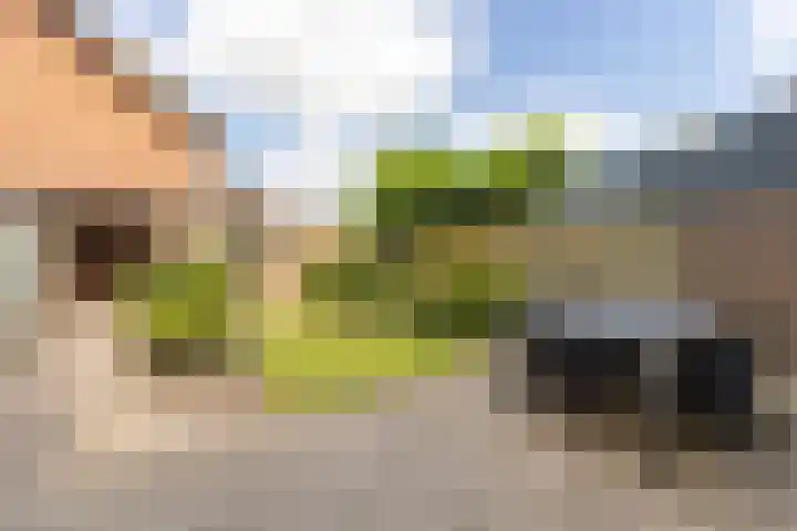 Berkenlaan 34 Zundert thumbnail 35