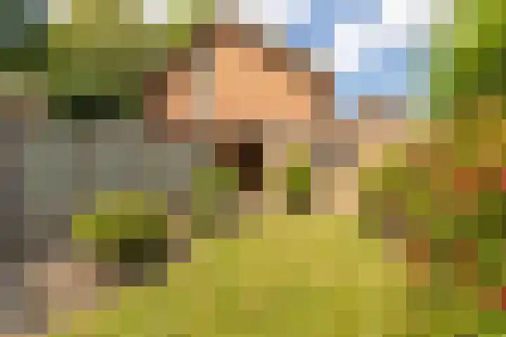 Berkenlaan 34 Zundert thumbnail 36