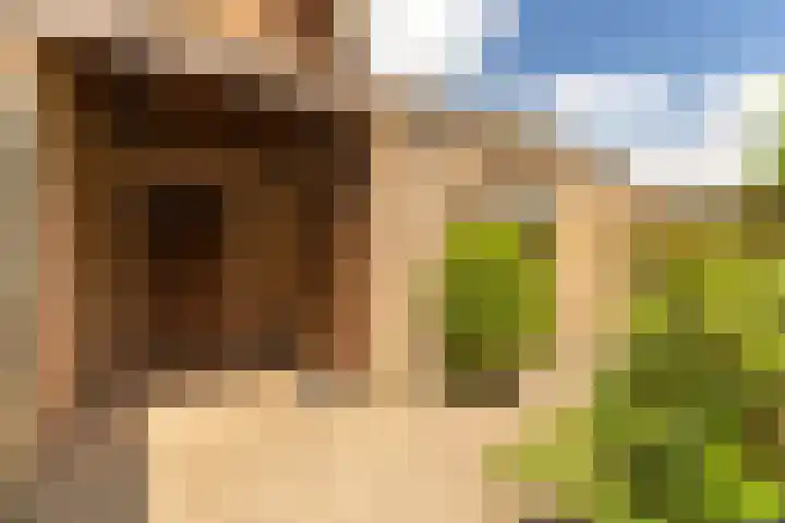 Berkenlaan 34 Zundert thumbnail 37