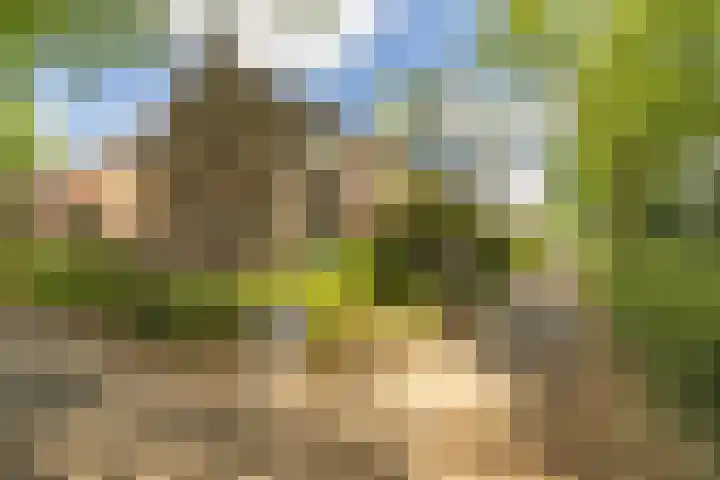 Berkenlaan 34 Zundert thumbnail 38