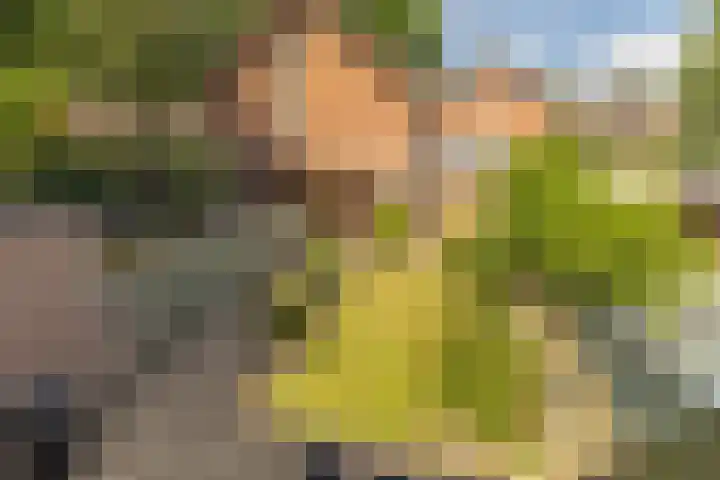 Berkenlaan 34 Zundert thumbnail 5
