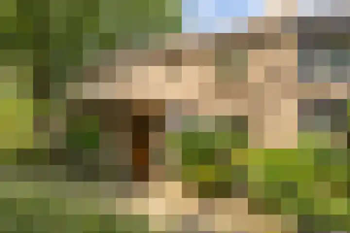 Berkenlaan 34 Zundert thumbnail 7