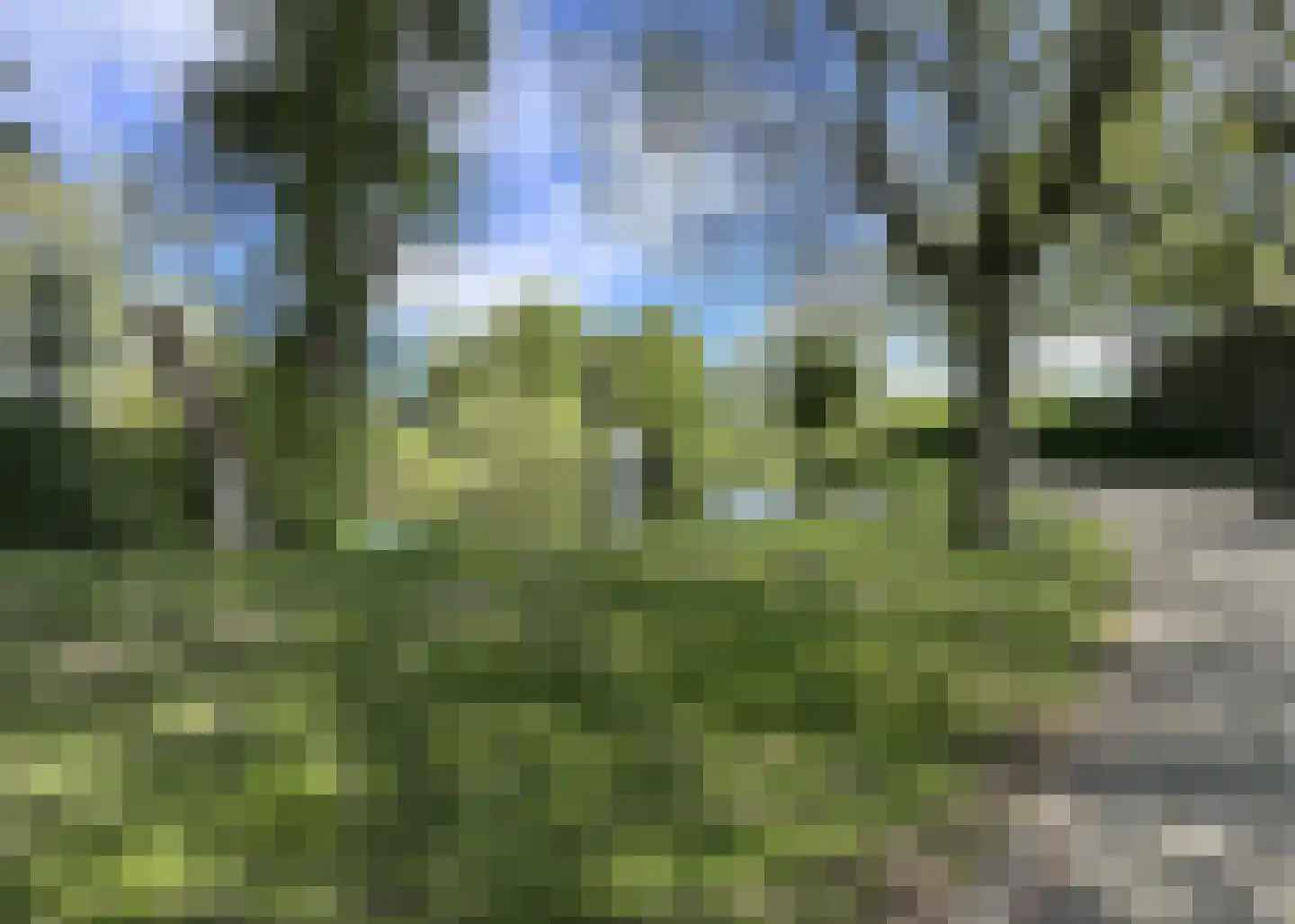 Berkenlaan 35 Schiedam thumbnail 14
