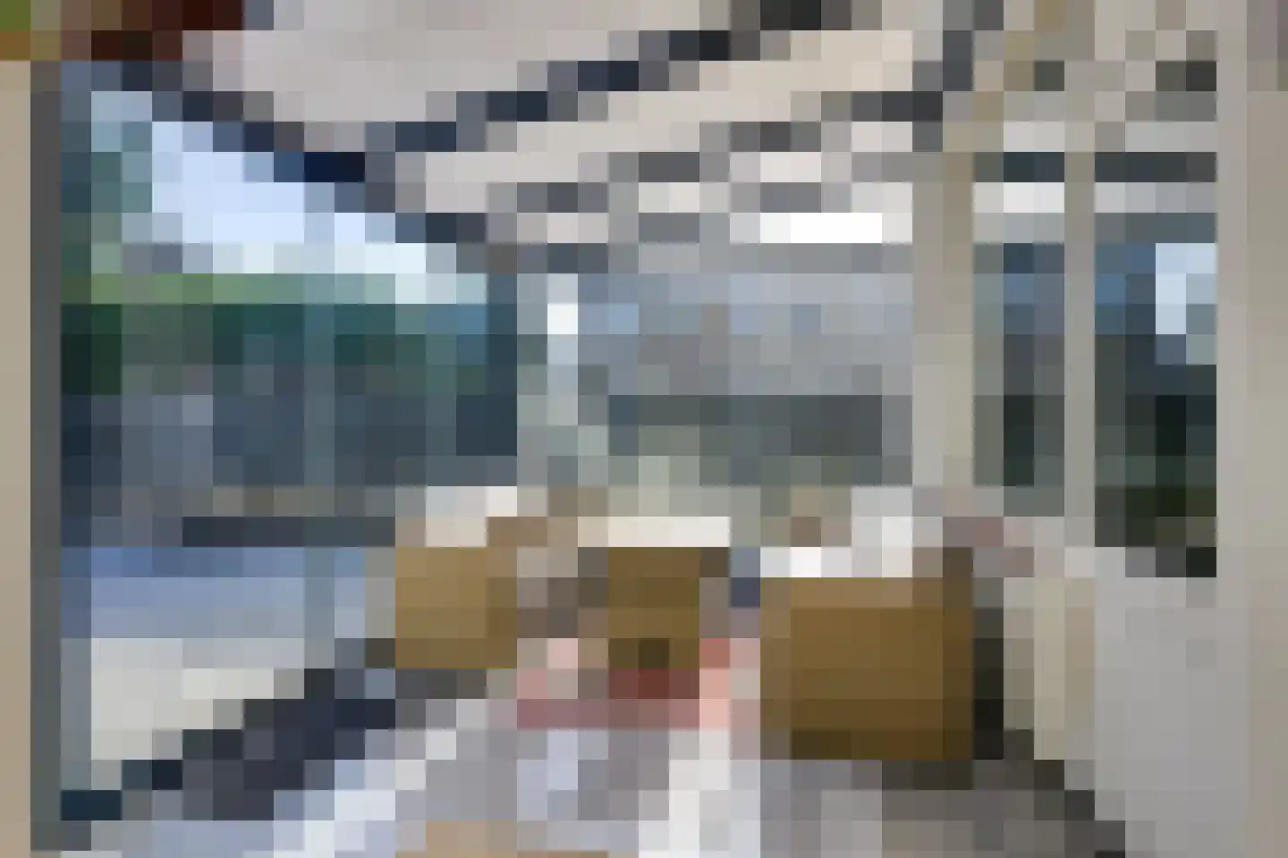 Berkenlaan 35 Schiedam thumbnail 21