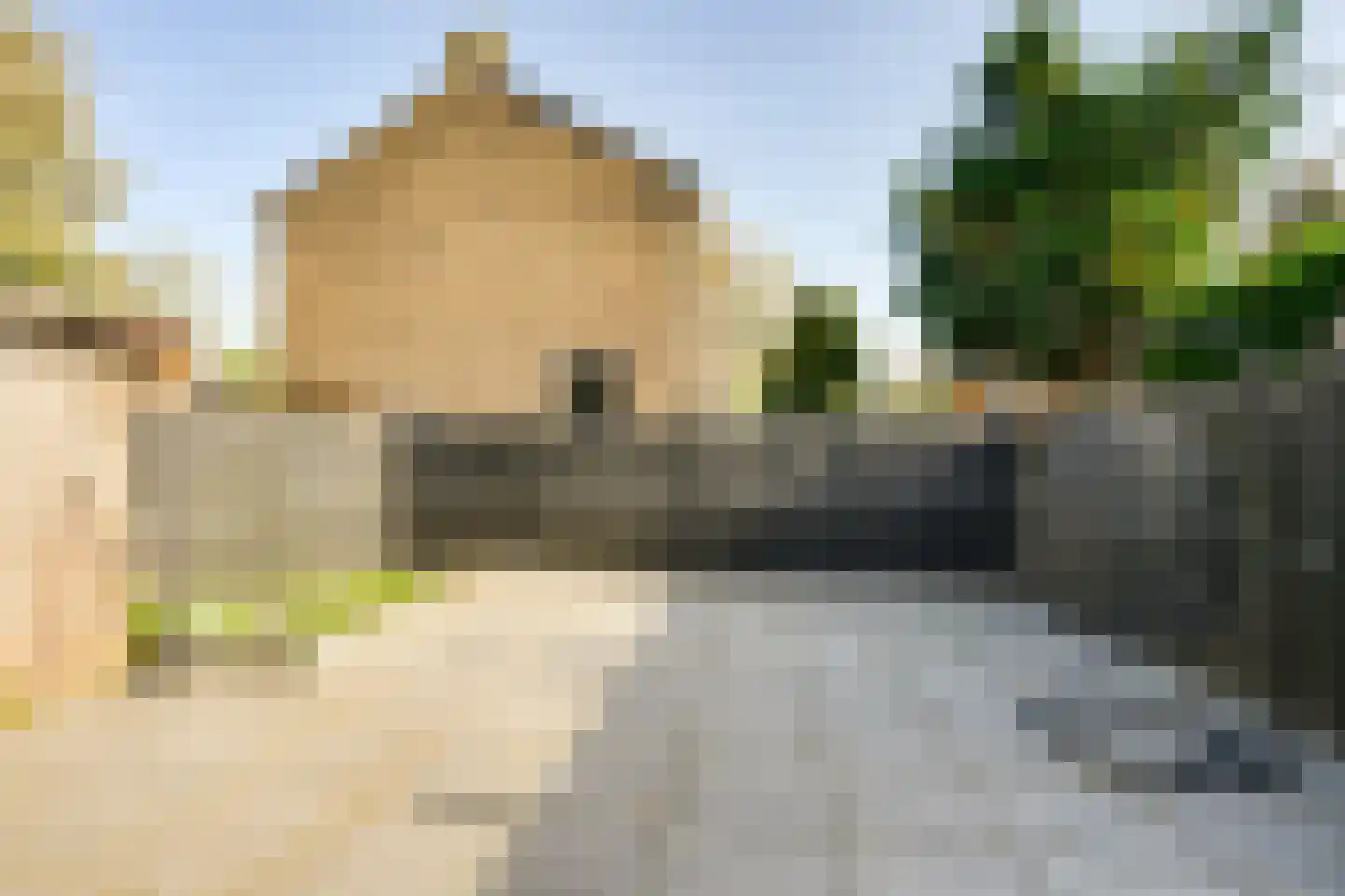Berkenlaan 35 Schiedam thumbnail 24