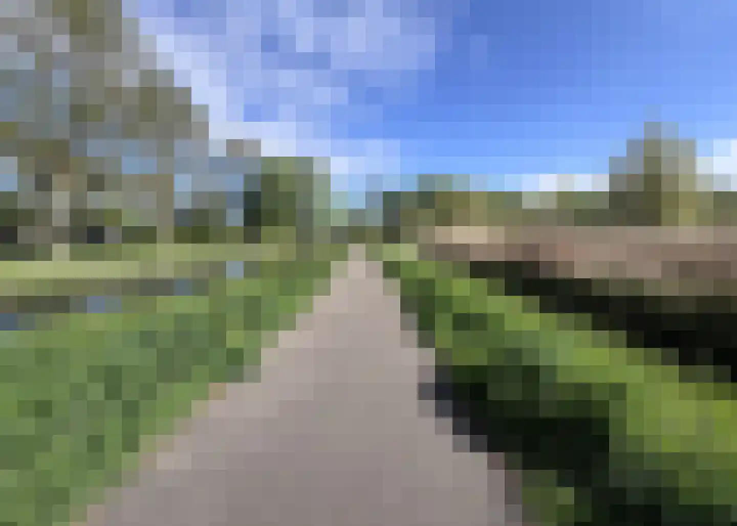 Berkenlaan 35 Schiedam thumbnail 34