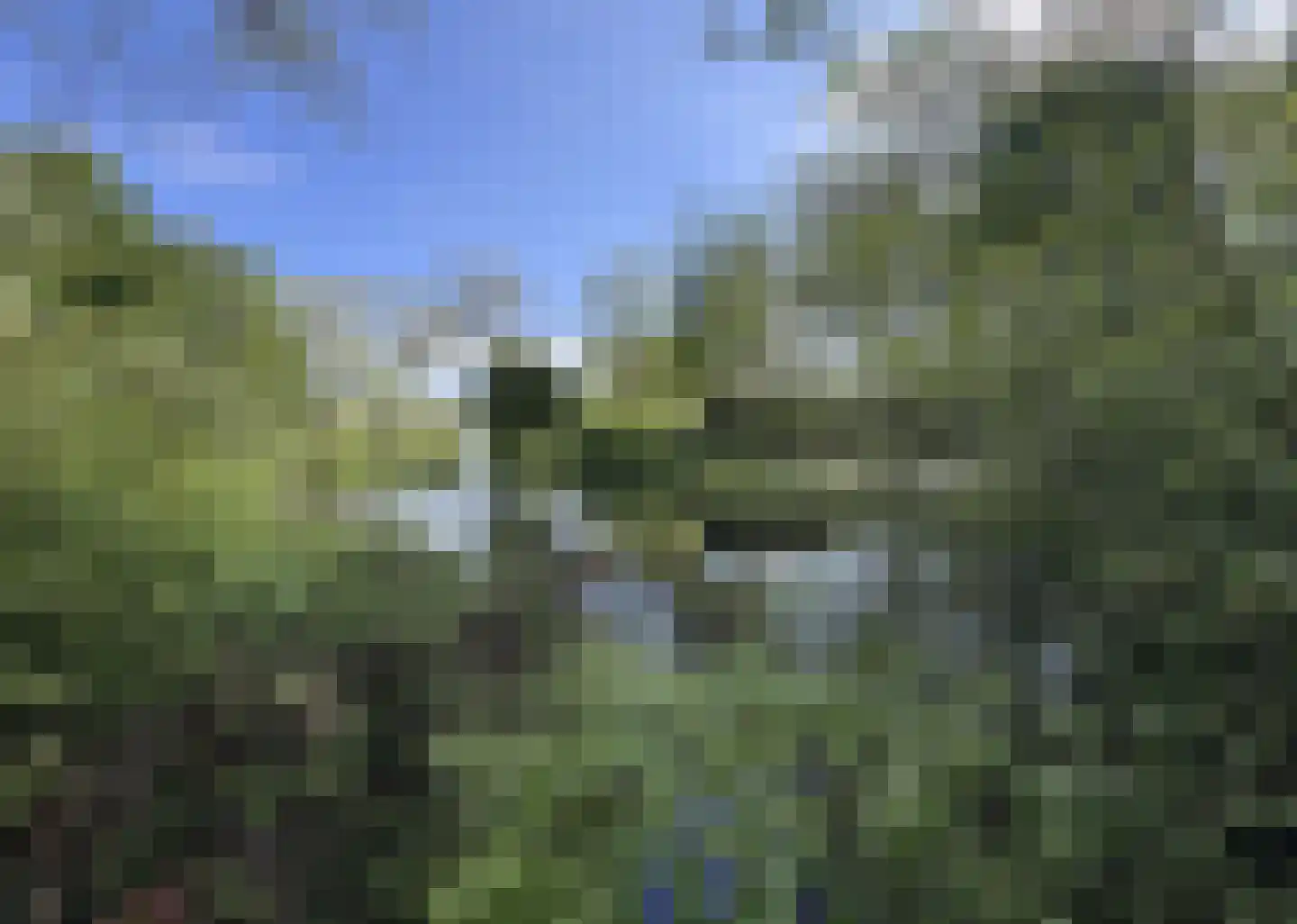 Berkenlaan 35 Schiedam thumbnail 37