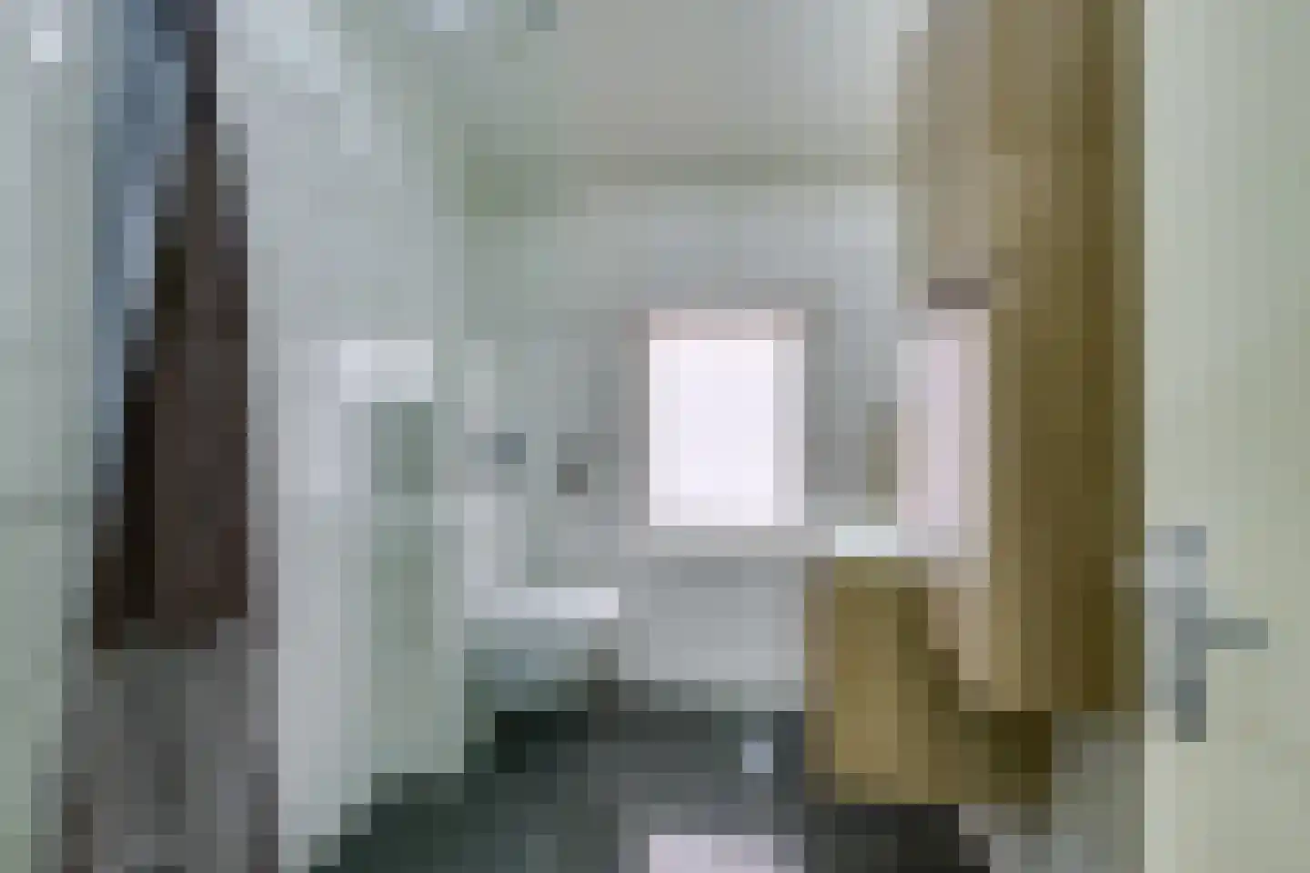 Berkenlaan 35 Schiedam thumbnail 8
