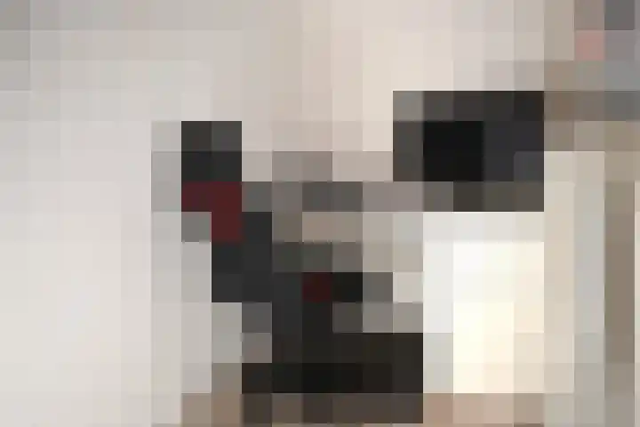 Berkenlaan 353 Zutphen thumbnail 11