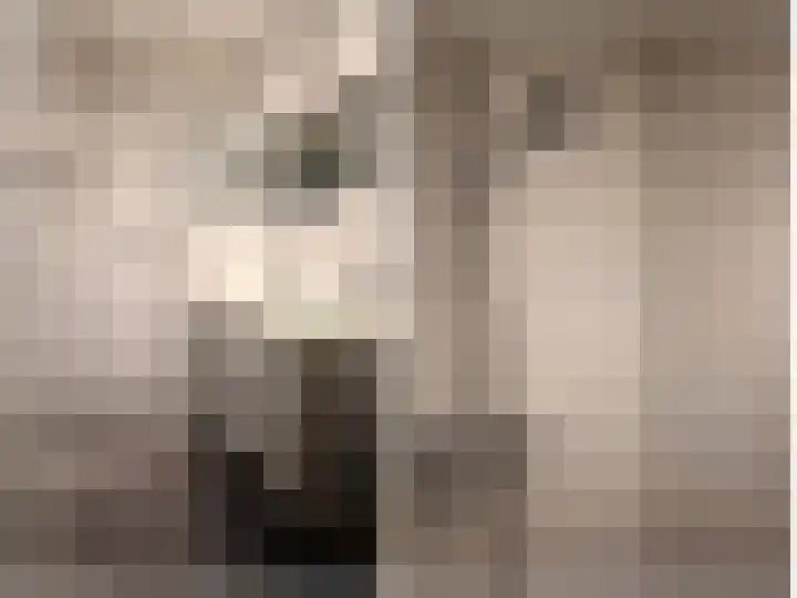 Berkenlaan 353 Zutphen thumbnail 15