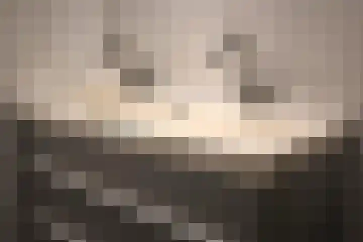 Berkenlaan 353 Zutphen thumbnail 16