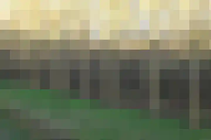 Berkenlaan 353 Zutphen thumbnail 25