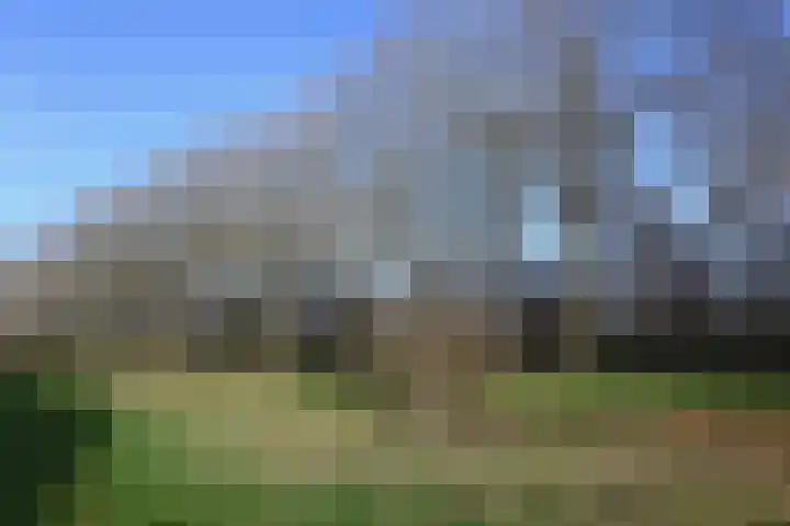 Berkenlaan 353 Zutphen thumbnail 26