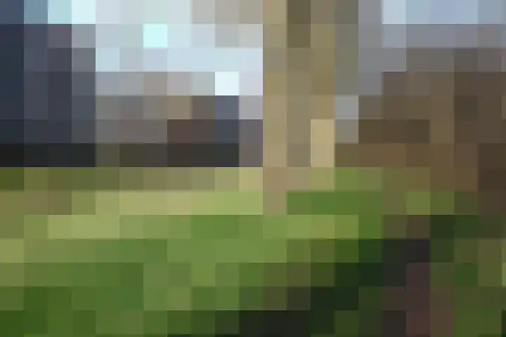 Berkenlaan 353 Zutphen thumbnail 27