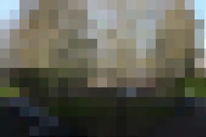 Berkenlaan 353 Zutphen thumbnail 28