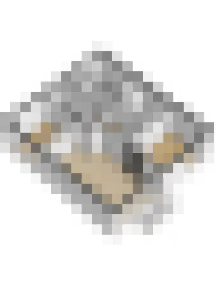 Berkenlaan 353 Zutphen thumbnail 32