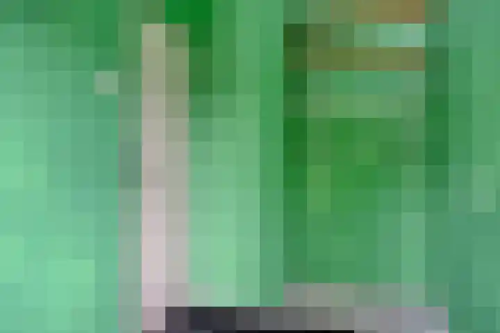 Berkenlaan 357 Zutphen thumbnail 25