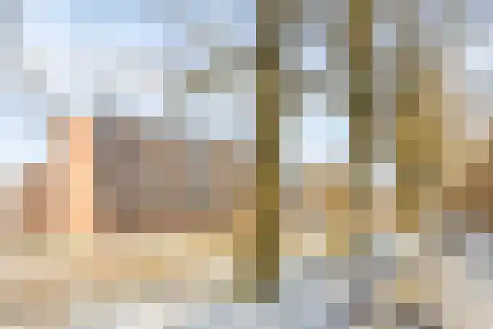 Berkenlaan 357 Zutphen thumbnail 30