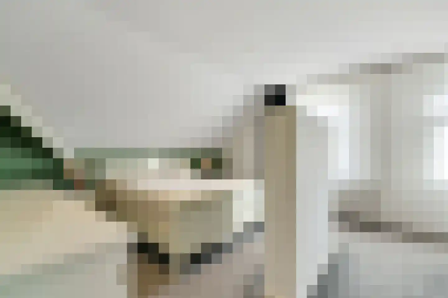 Berkenlaan 37 Aadorp thumbnail 21
