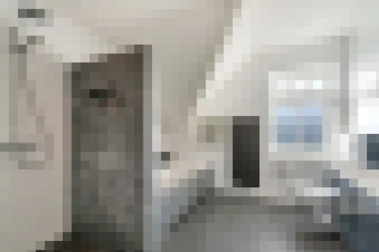 Berkenlaan 37 Aadorp thumbnail 25