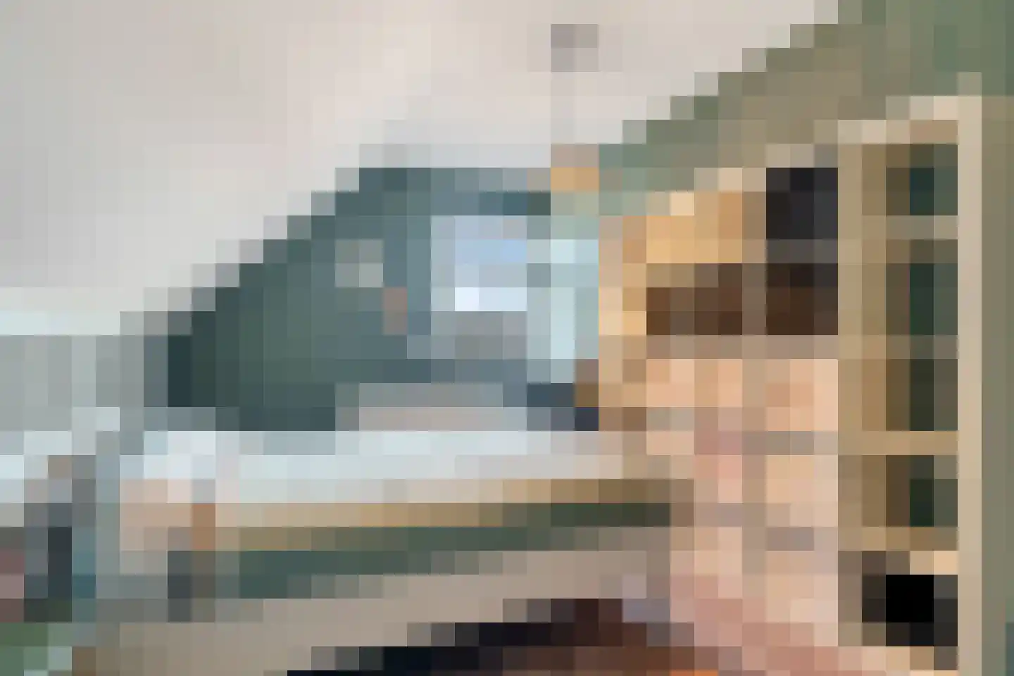 Berkenlaan 37 Aadorp thumbnail 28