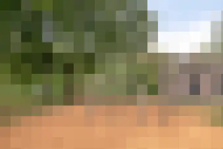 Berkenlaan 37 Loosdrecht thumbnail 30