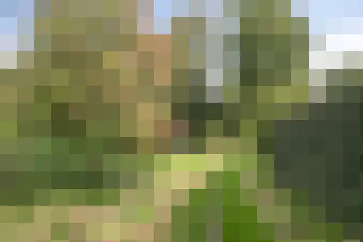 Berkenlaan 37 Loosdrecht thumbnail 31