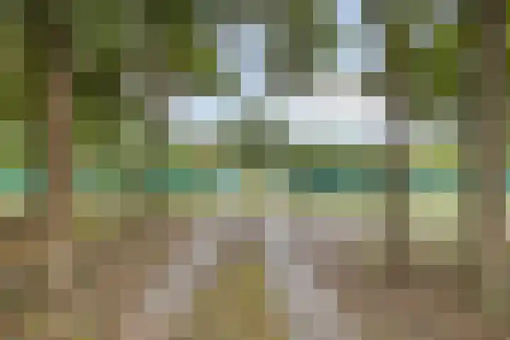 Berkenlaan 37 Loosdrecht thumbnail 32