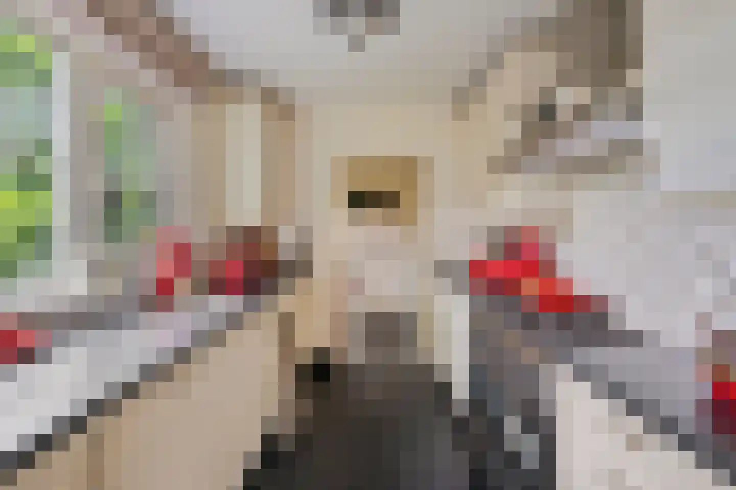 Berkenlaan 37 Velden thumbnail 11