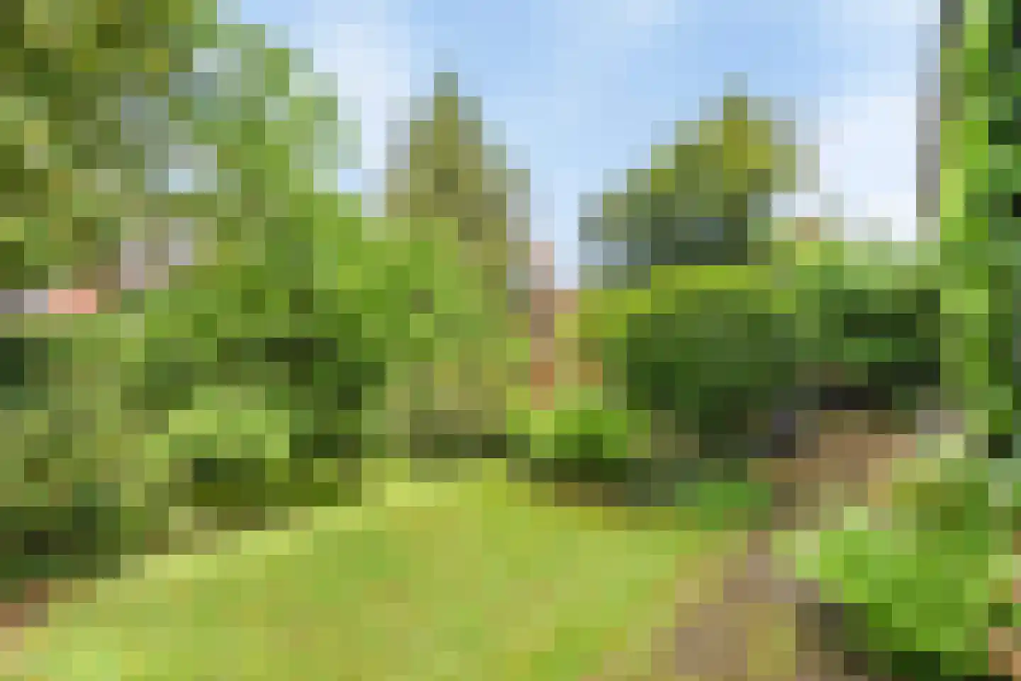Berkenlaan 37 Velden thumbnail 29