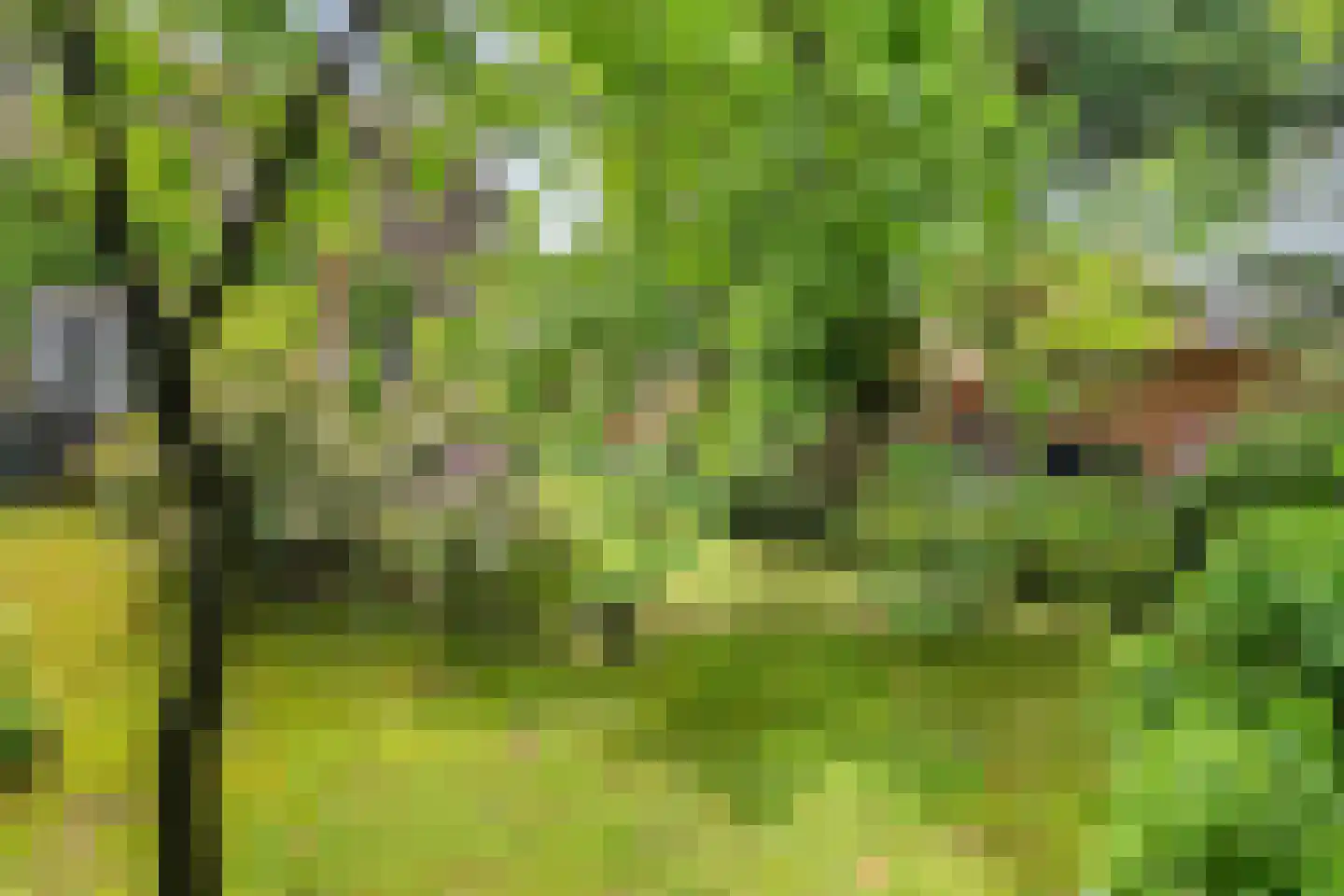 Berkenlaan 37 Velden thumbnail 30