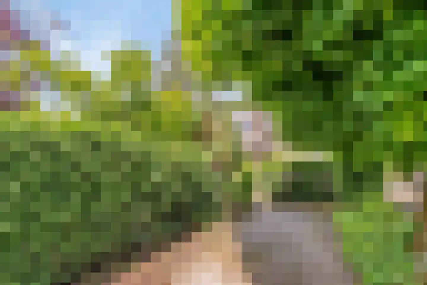 Berkenlaan 37 Velden thumbnail 32