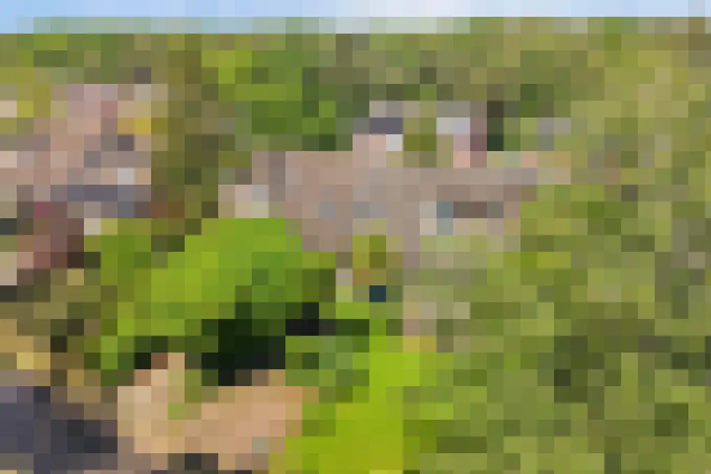 Berkenlaan 37 Velden thumbnail 33